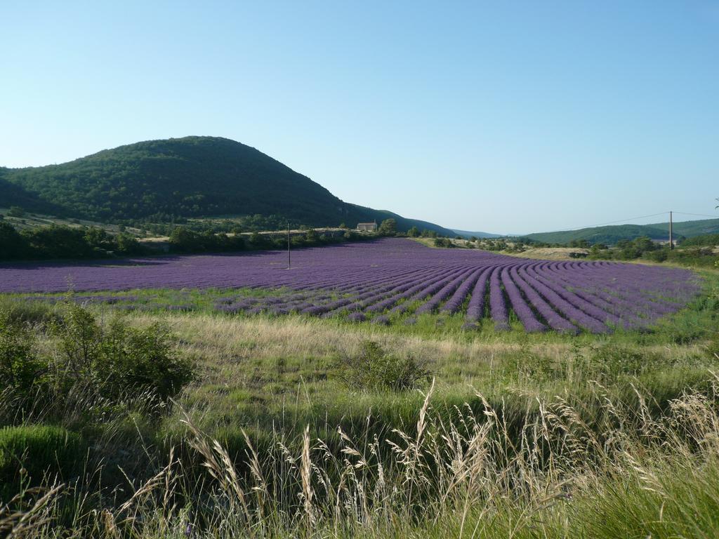 La Grange De La Lavande Lardiers Екстериор снимка
